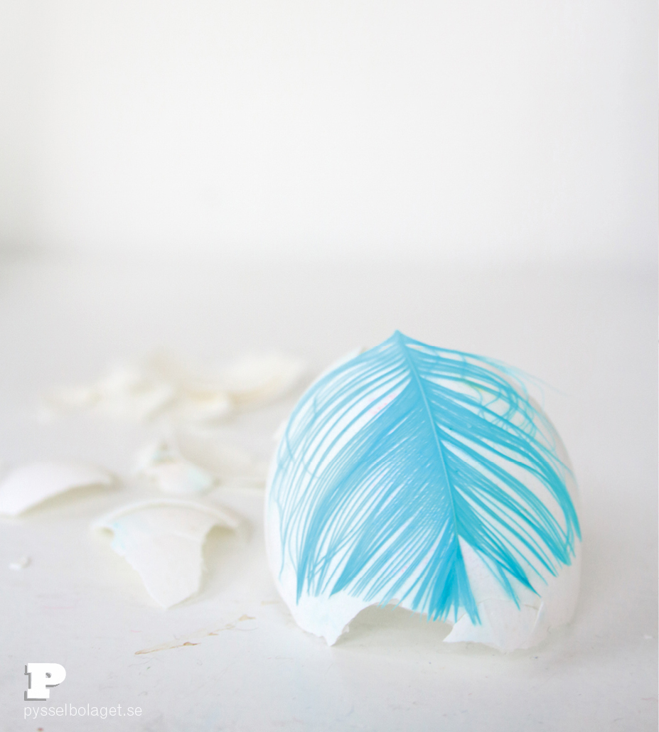 Egg and Feathers8