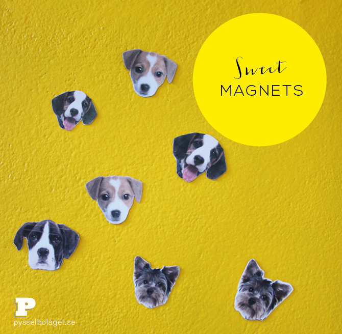 Sweet magnets PB 2014 1